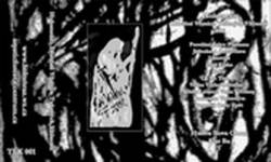 Holomráz : Døevìné Vìznice Tušených Vìèností